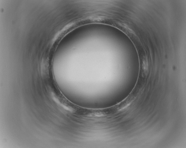 X0000060750492200511241707