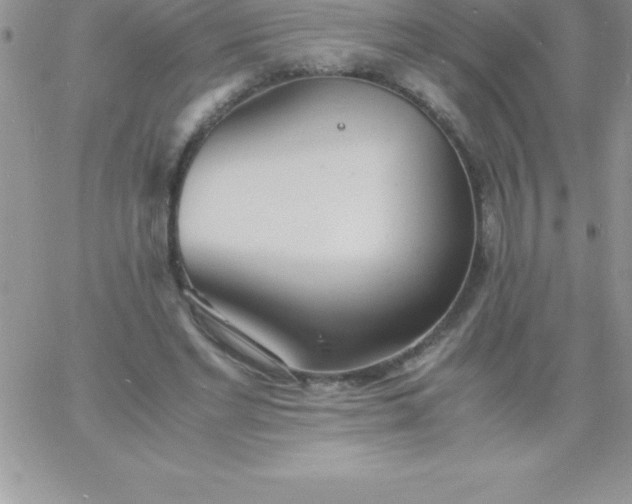 X0000060750493200511241707