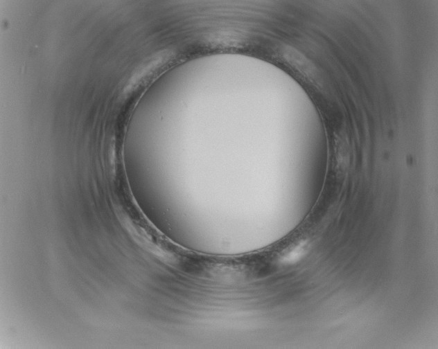 X0000060750494200511241707