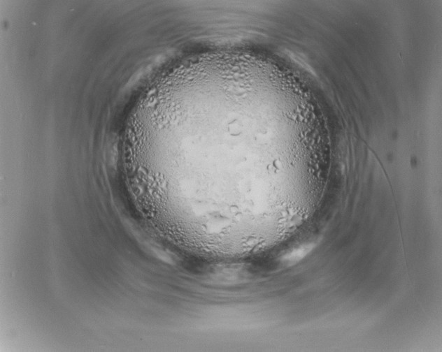 X0000060750495200511241707