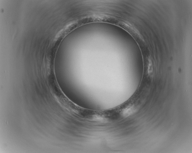 X0000060750496200511241707