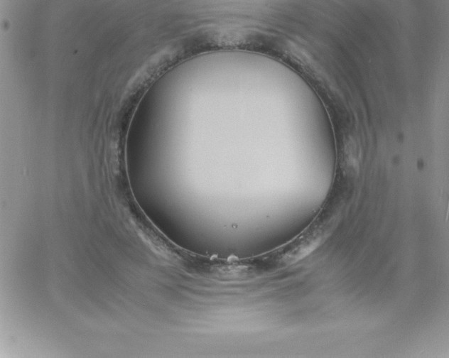 X0000060750497200511241707