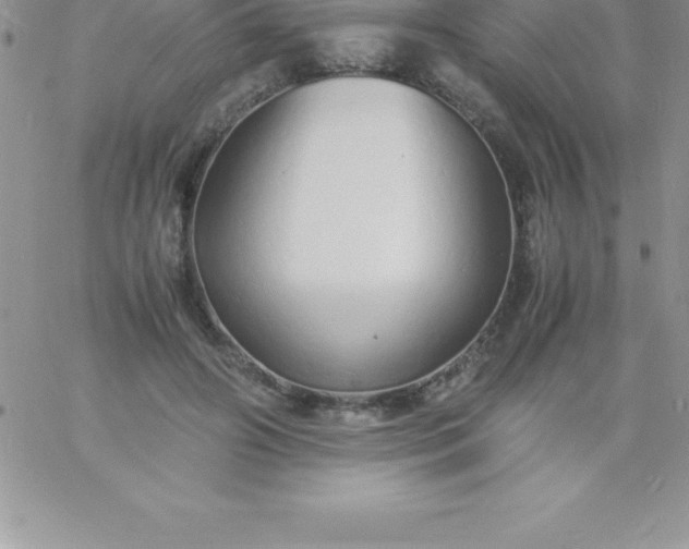 X0000060750498200511241707