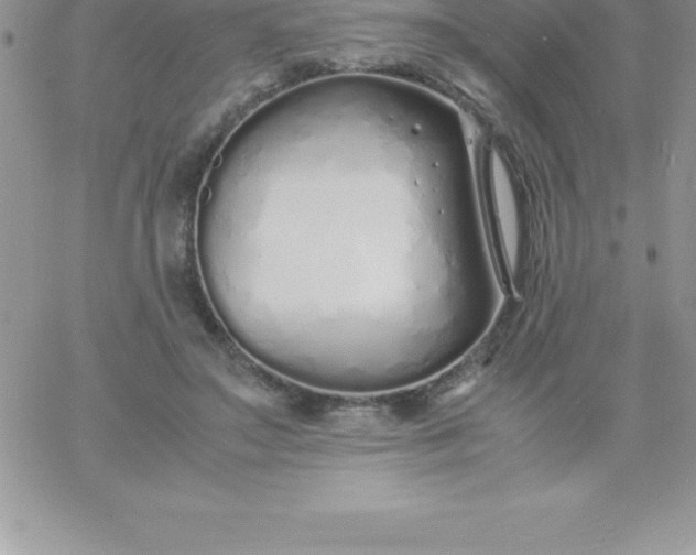 X0000060750499200511241707