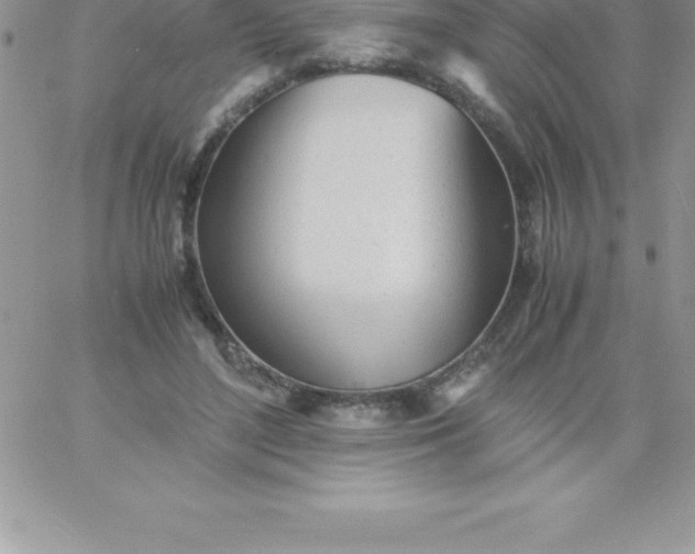 X0000060750500200511241707