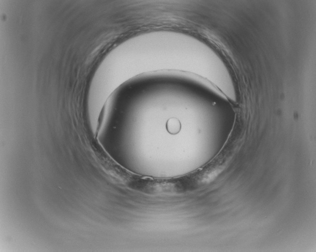 X0000060750501200511241707