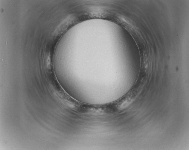 X0000060750502200511241706