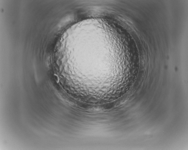 X0000060750503200511241706