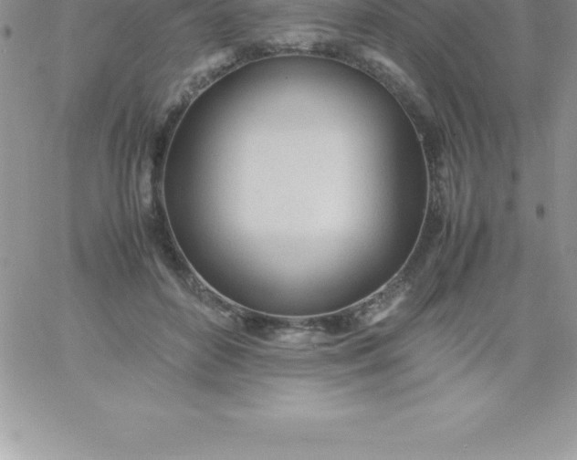 X0000060750504200511241706