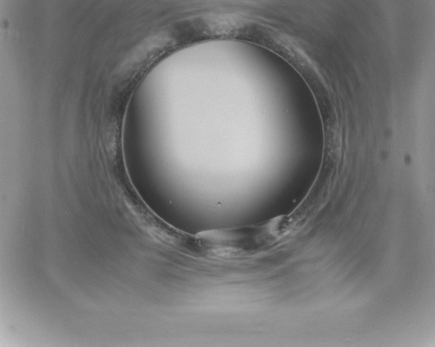 X0000060750505200511241706