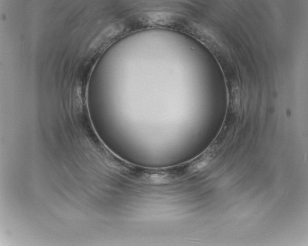 X0000060750506200511241706