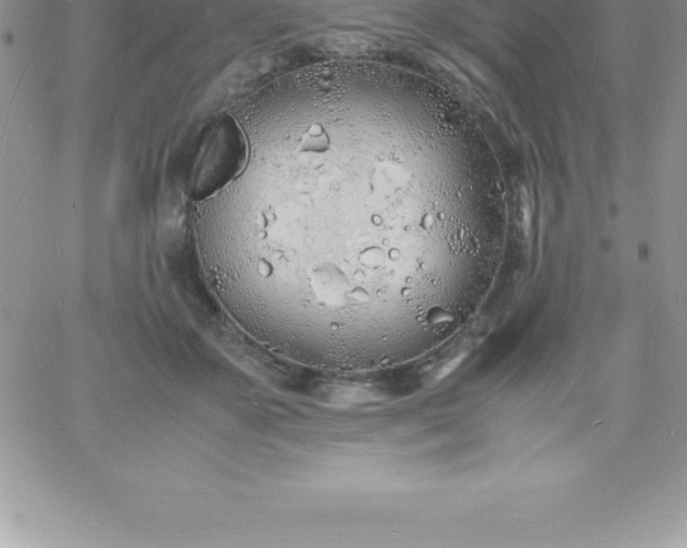 X0000060750507200511241706