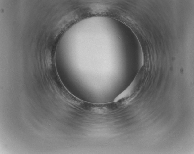 X0000060750508200511241706