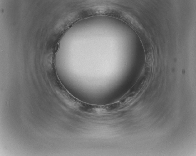 X0000060750509200511241706