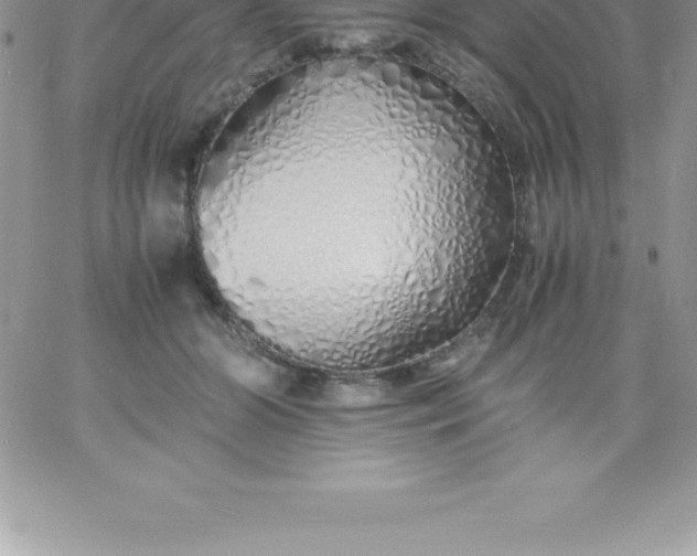 X0000060750510200511241706