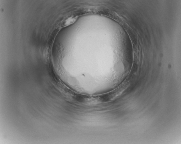 X0000060750511200511241706