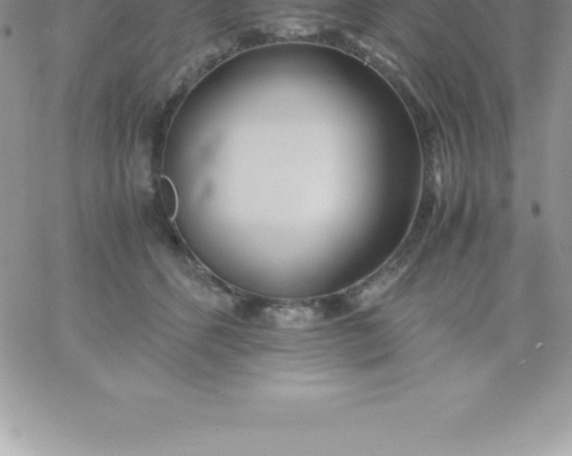 X0000060750512200511241706