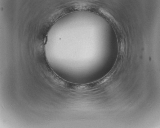 X0000060750513200511241706