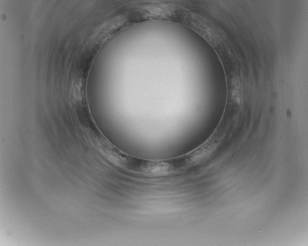 X0000060750514200511241706