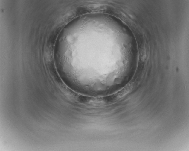 X0000060750515200511241706