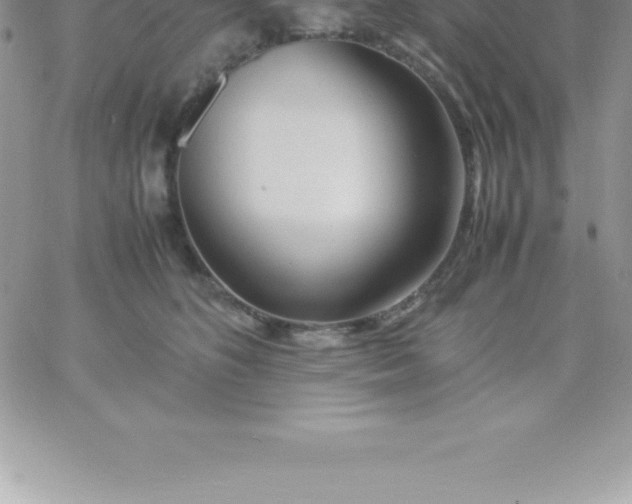 X0000060750516200511241706