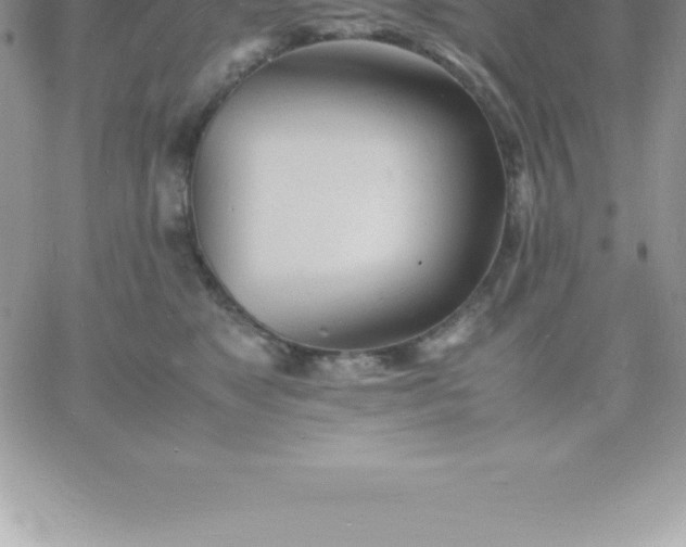 X0000060750517200511241706