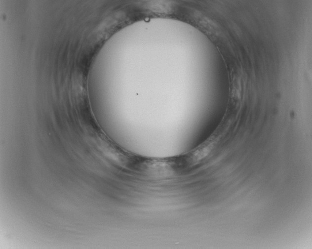 X0000060750518200511241706