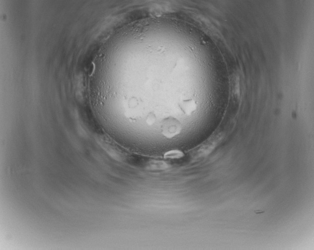 X0000060750519200511241706