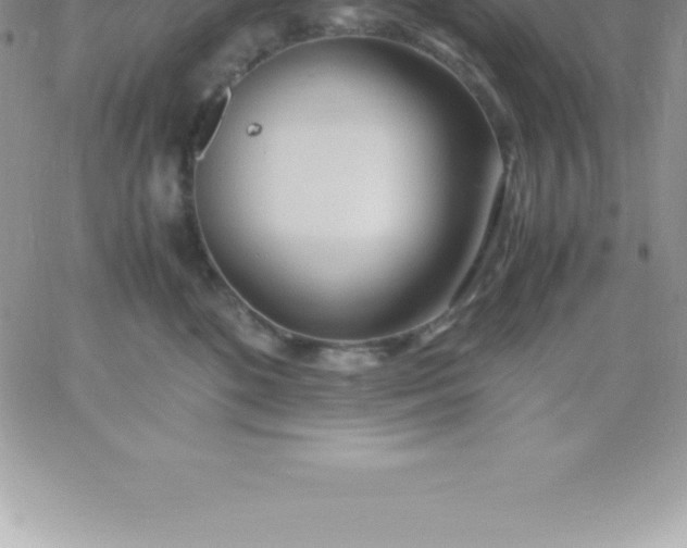 X0000060750520200511241706