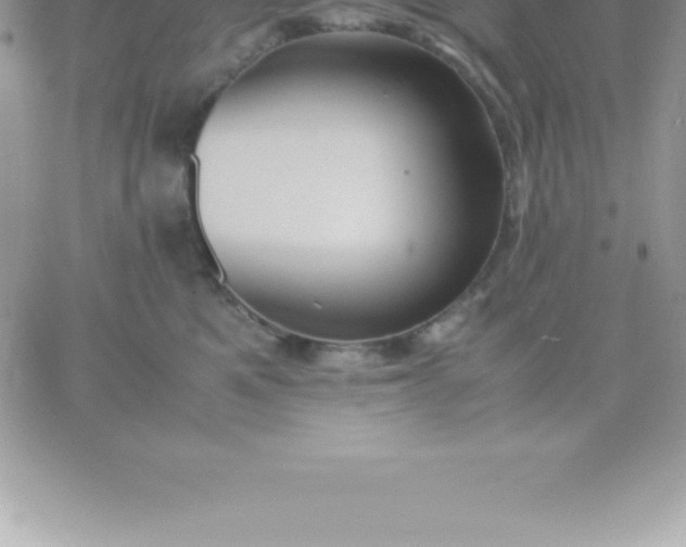 X0000060750521200511241706