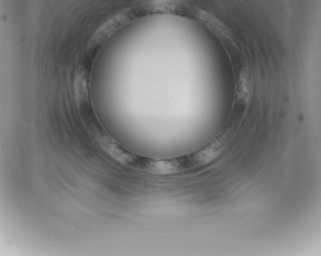 X0000060750522200511241706