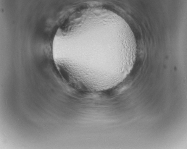 X0000060750523200511241706