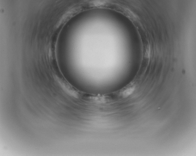 X0000060750524200511241706