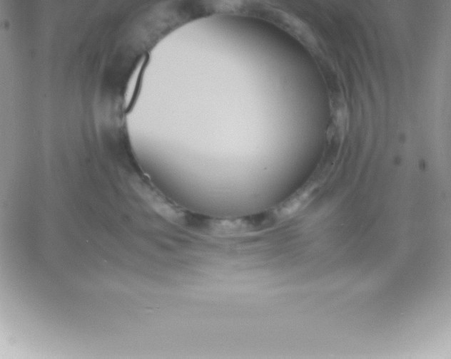 X0000060750525200511241706