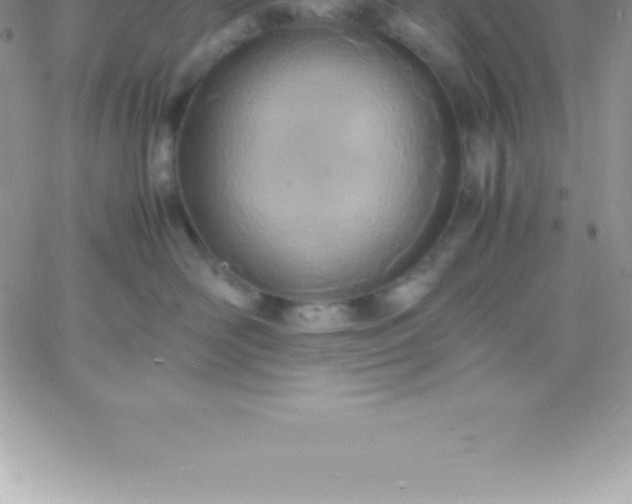 X0000060750526200511241706