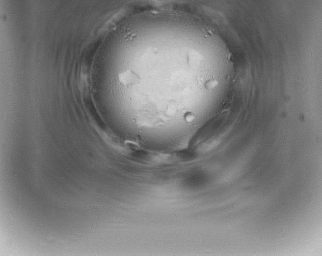 X0000060750527200511241706