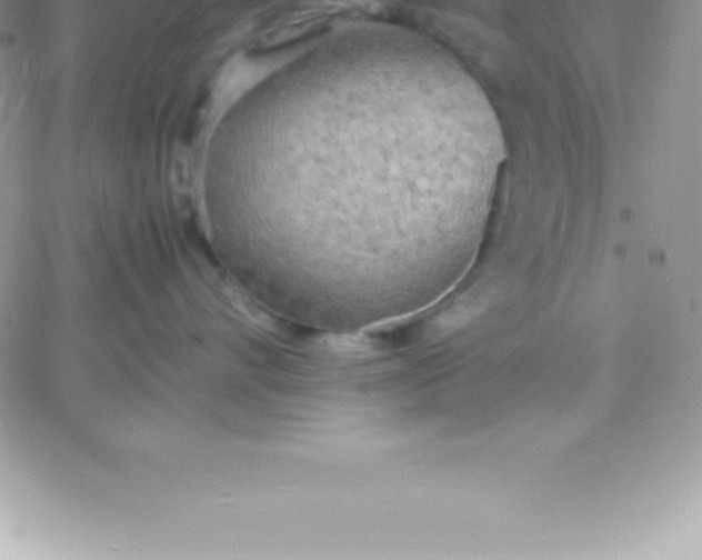 X0000060750528200511241706