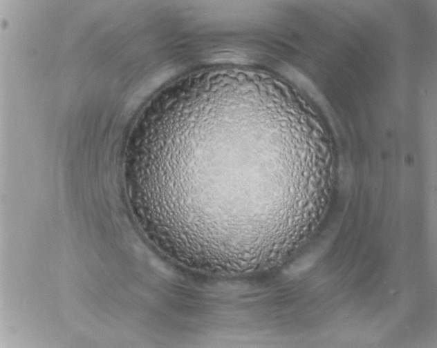 X0000060750529200511241705