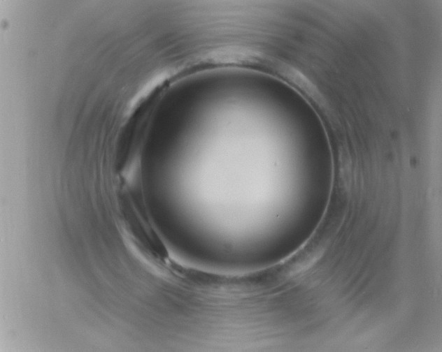 X0000060750530200511241705