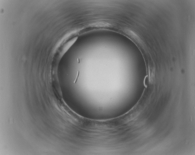 X0000060750531200511241705