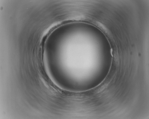 X0000060750532200511241705