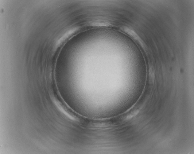 X0000060750533200511241705