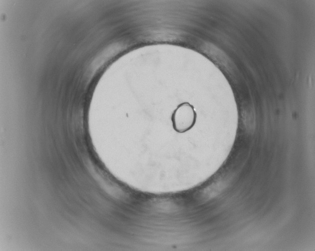 X0000060750534200511241705