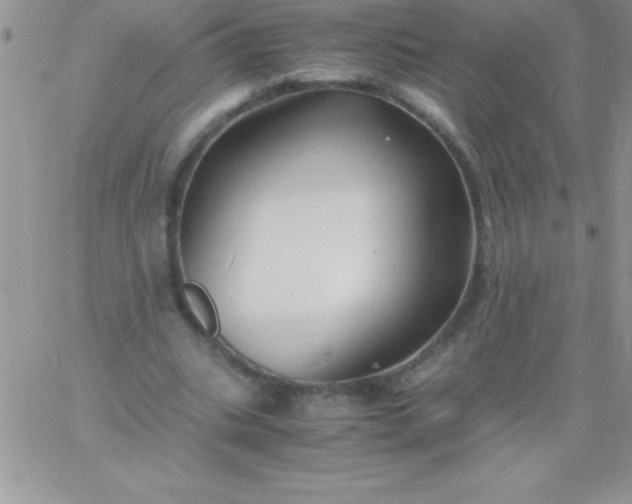 X0000060750535200511241705