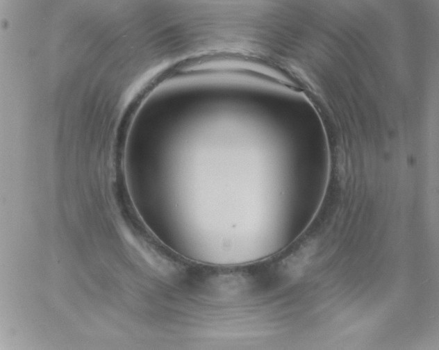 X0000060750536200511241705