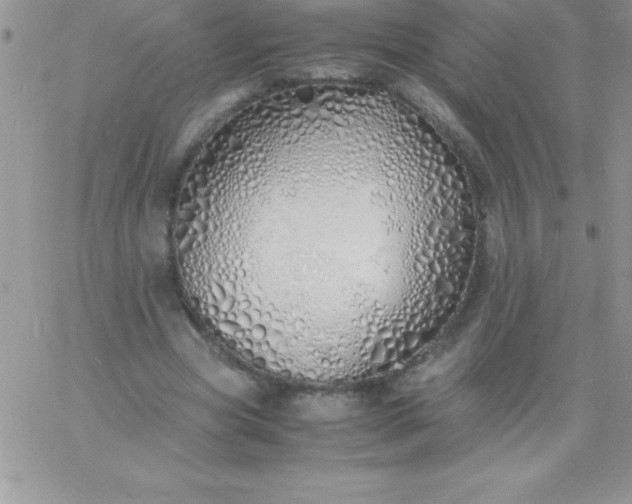 X0000060750537200511241705