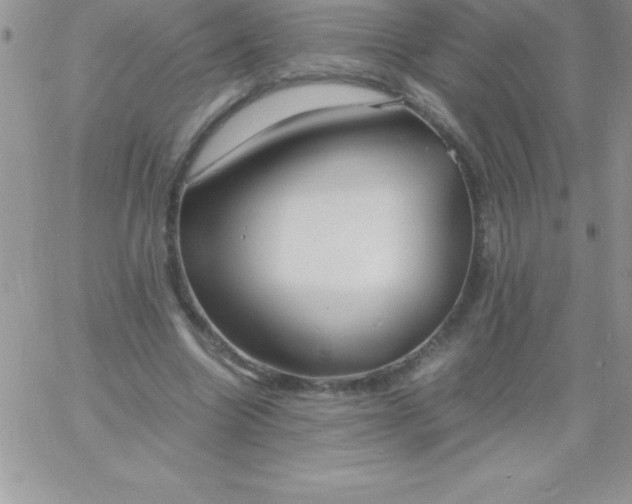 X0000060750538200511241705