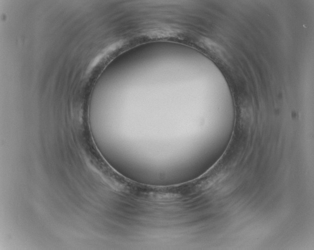 X0000060750539200511241705