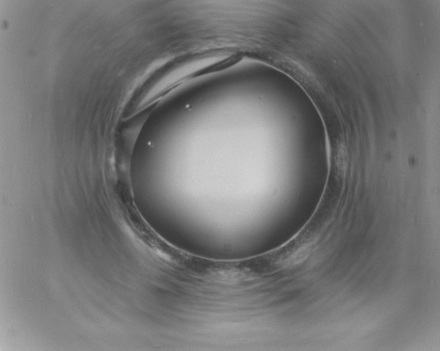 X0000060750540200511241705