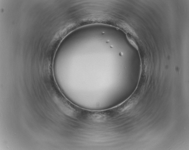 X0000060750542200511241705